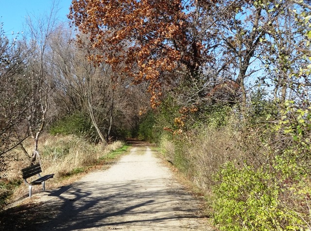 Mascoutin Valley State Trail: Ripon to Berlin (West) – Wisconsin Bike ...