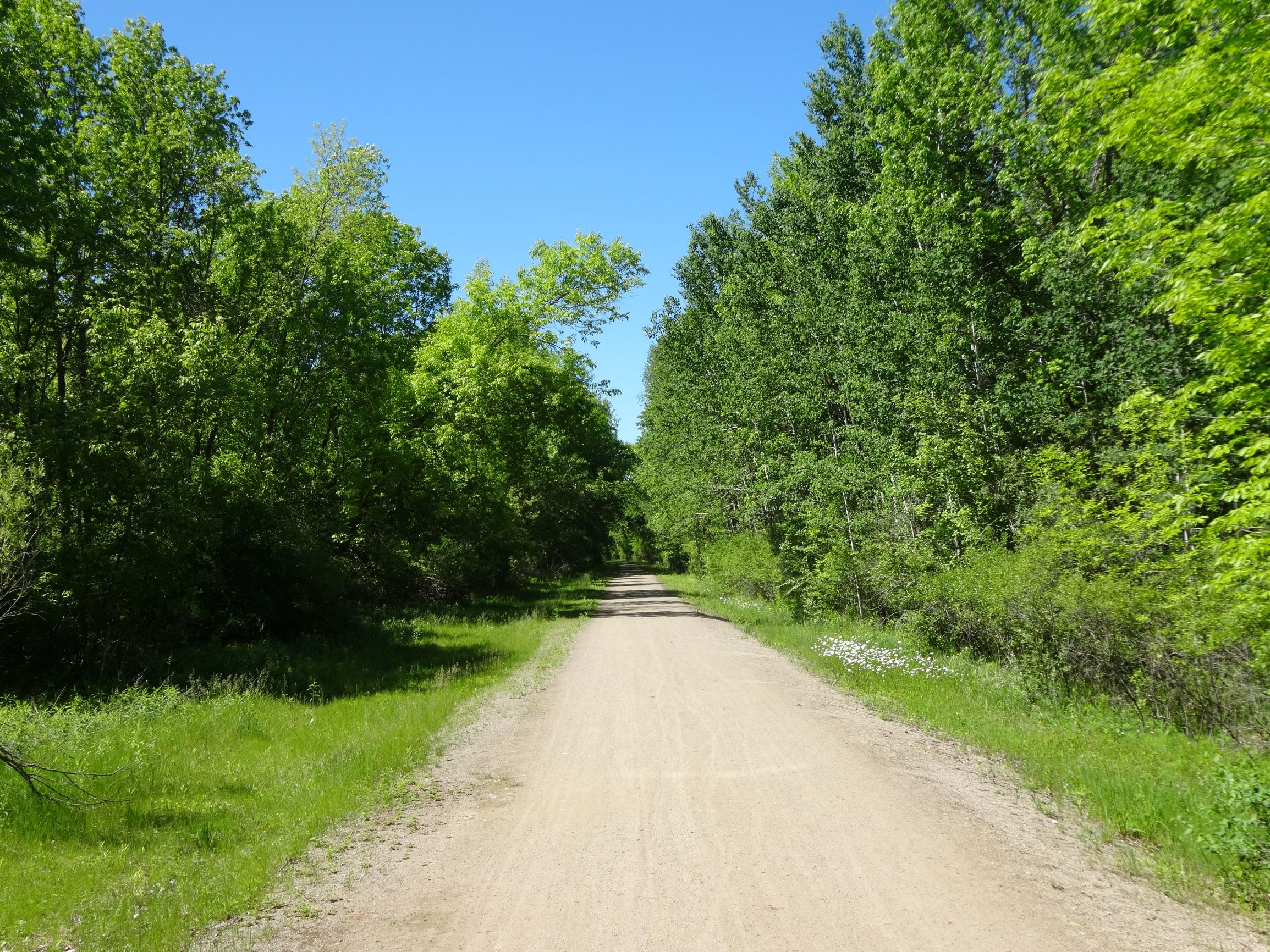 Mountain Bay State Trail Shawano To Pulaski Wisconsin Bike Trails