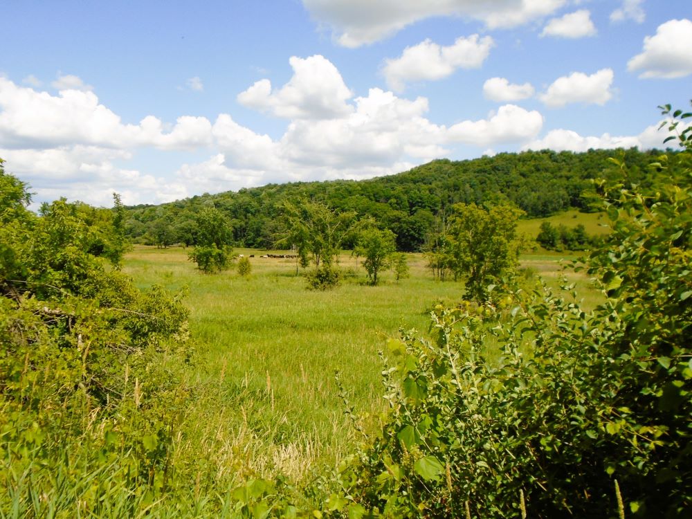 Elroy-Sparta Trail still a Wisconsin gem | Words Are Roads