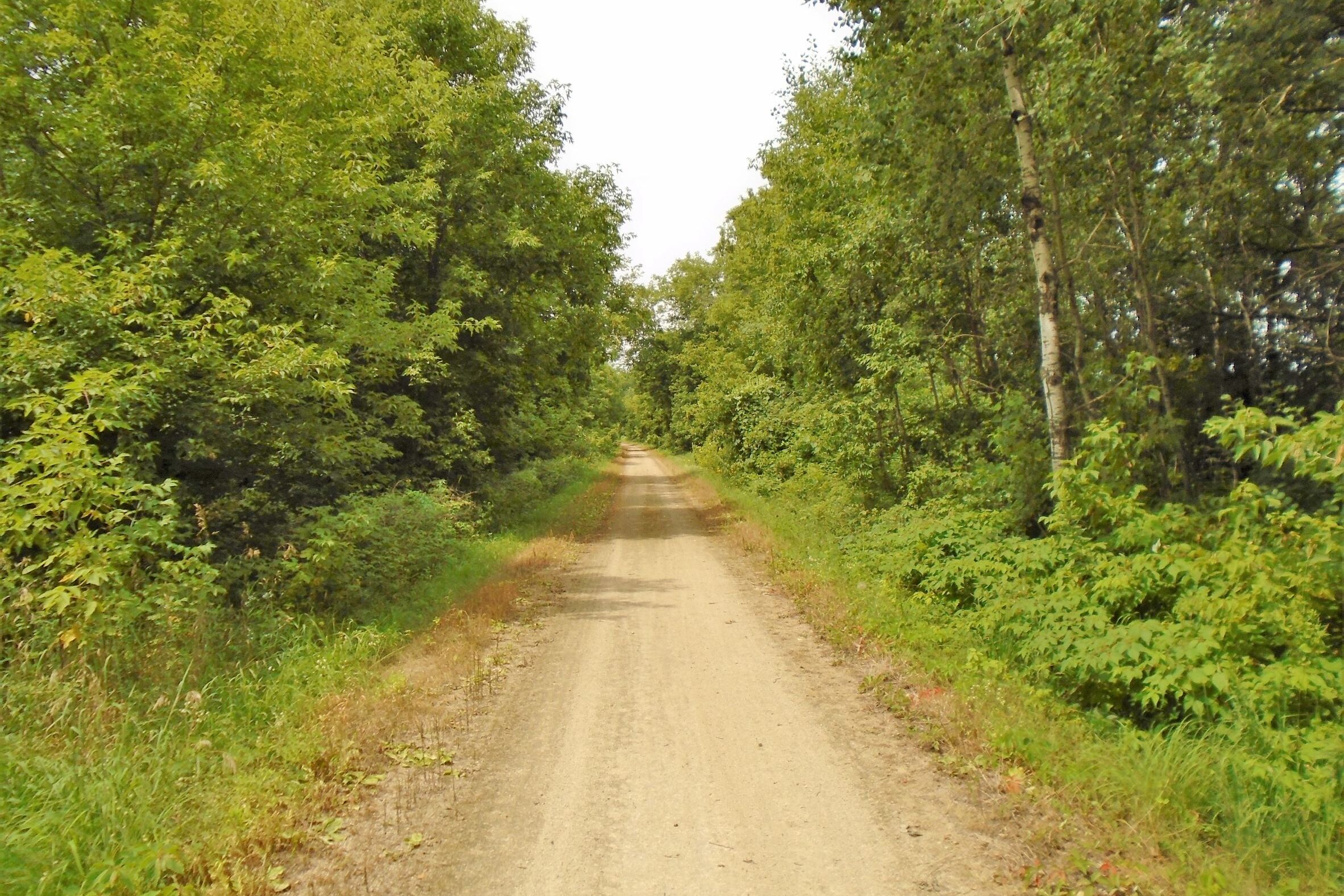 Tomorrow River State Trail: Amherst Junction to Scandinavia – Wisconsin ...